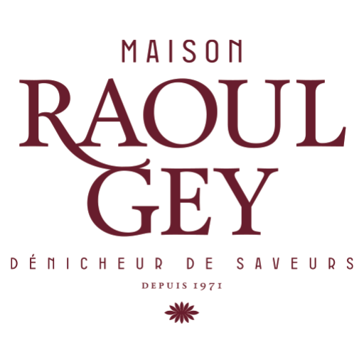 Maison Raoul Gey