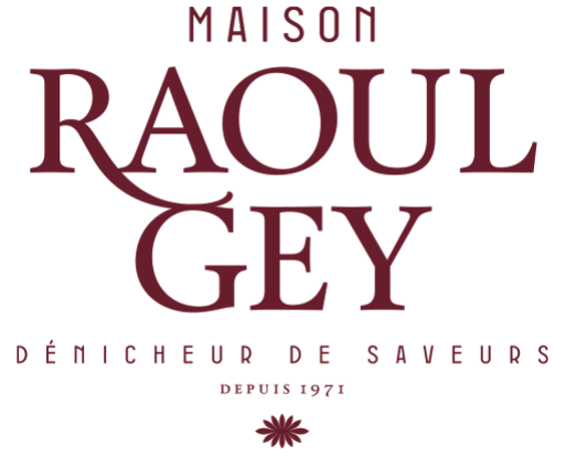Maison Raoul Gey